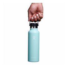 Hydro Flask 21oz Standard Mouth - Dew