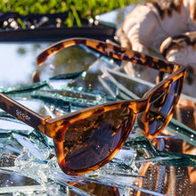 Tortoiseshell sunglasses on a shattered glass surface with a blurred outdoor background