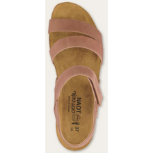 Naot Kayla Latte top down