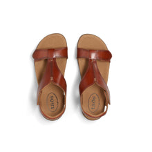 Taos The Show Cognac 5