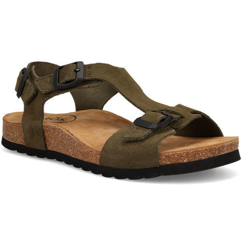 Taos MVP Olive Side 