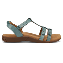 Taos Trophy Teal Profile 