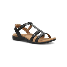Black sandal with brown insole on a white background