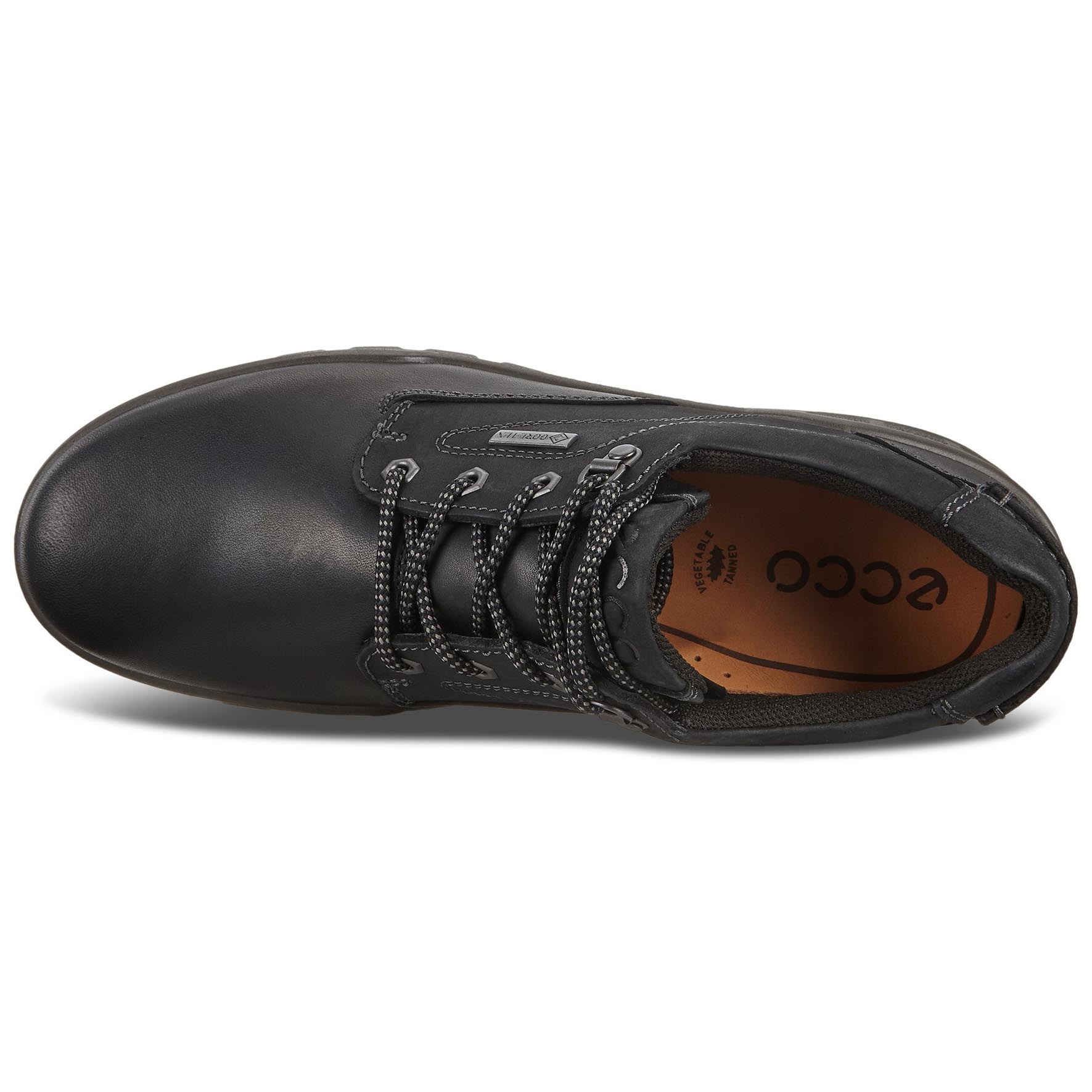 nødsituation Præstation Specialisere Ecco Track 25 Low GTX - Black | Comfortable Shoes – Pedestrian Shops